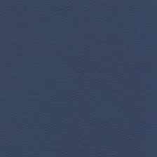 Fortuna Blue