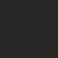 Fortuna Black
